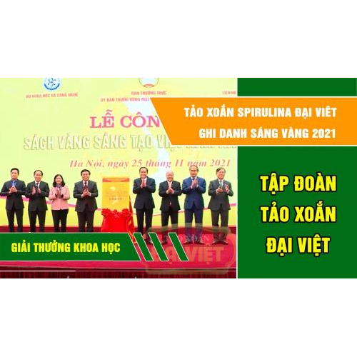 VI. Thành tựu đạt được